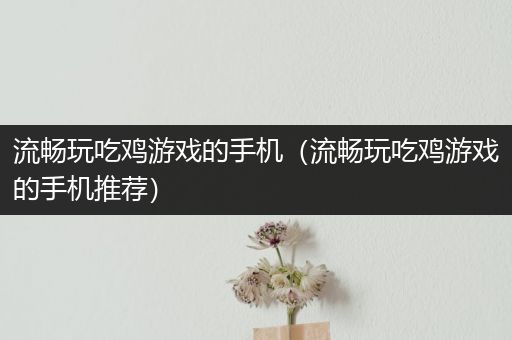 流畅玩吃鸡游戏的手机（流畅玩吃鸡游戏的手机推荐）