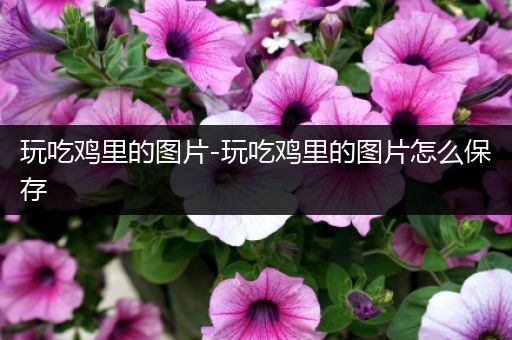 玩吃鸡里的图片-玩吃鸡里的图片怎么保存