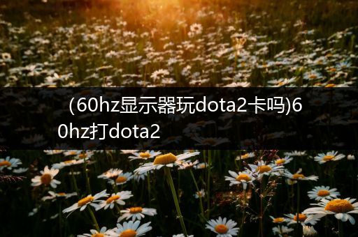 （60hz显示器玩dota2卡吗)60hz打dota2