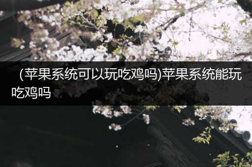 （苹果系统可以玩吃鸡吗)苹果系统能玩吃鸡吗