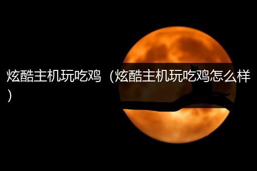 炫酷主机玩吃鸡（炫酷主机玩吃鸡怎么样）
