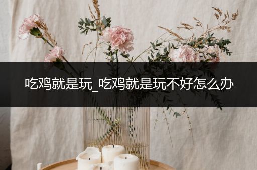 吃鸡就是玩_吃鸡就是玩不好怎么办