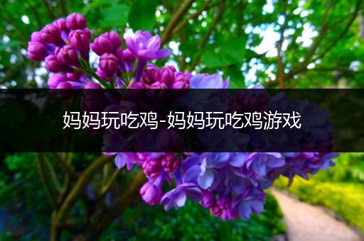 妈妈玩吃鸡-妈妈玩吃鸡游戏