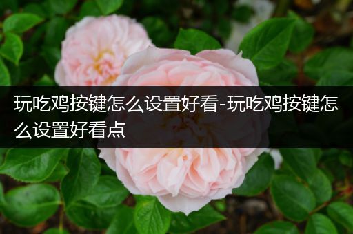 玩吃鸡按键怎么设置好看-玩吃鸡按键怎么设置好看点
