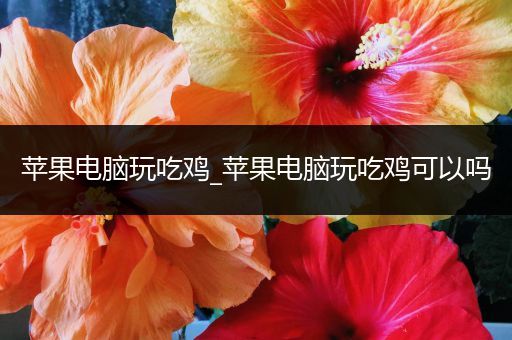 苹果电脑玩吃鸡_苹果电脑玩吃鸡可以吗
