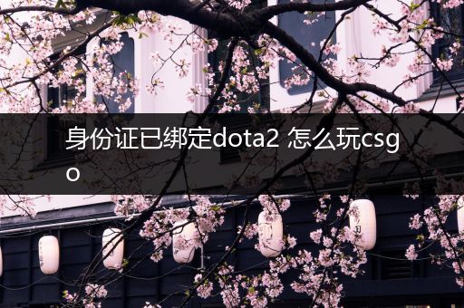 身份证已绑定dota2 怎么玩csgo