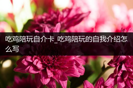 吃鸡陪玩自介卡_吃鸡陪玩的自我介绍怎么写