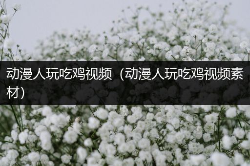 动漫人玩吃鸡视频（动漫人玩吃鸡视频素材）