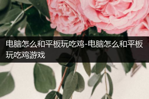 电脑怎么和平板玩吃鸡-电脑怎么和平板玩吃鸡游戏