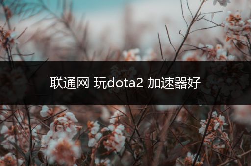 联通网 玩dota2 加速器好