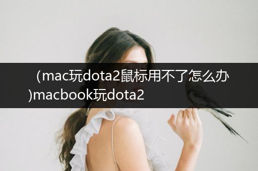 （mac玩dota2鼠标用不了怎么办)macbook玩dota2