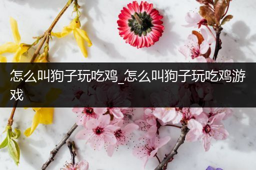 怎么叫狗子玩吃鸡_怎么叫狗子玩吃鸡游戏