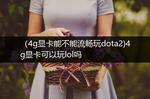 （4g显卡能不能流畅玩dota2)4g显卡可以玩lol吗