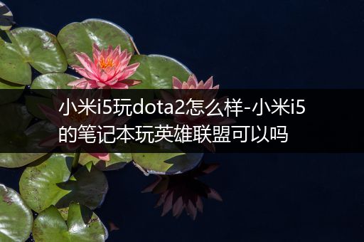 小米i5玩dota2怎么样-小米i5的笔记本玩英雄联盟可以吗