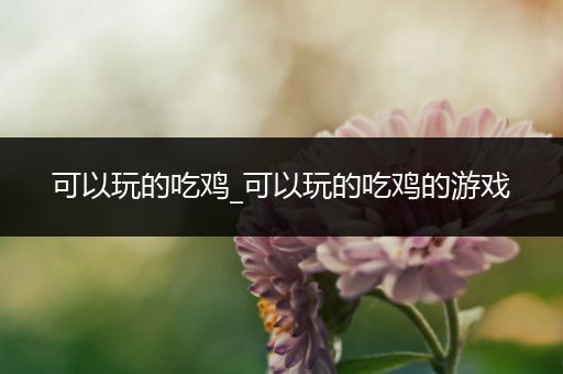 可以玩的吃鸡_可以玩的吃鸡的游戏