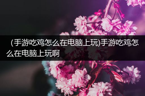 （手游吃鸡怎么在电脑上玩)手游吃鸡怎么在电脑上玩啊