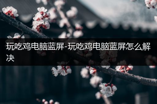 玩吃鸡电脑蓝屏-玩吃鸡电脑蓝屏怎么解决