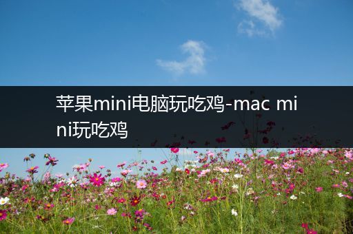 苹果mini电脑玩吃鸡-mac mini玩吃鸡