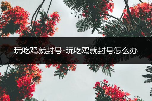 玩吃鸡就封号-玩吃鸡就封号怎么办