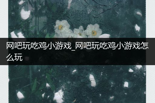 网吧玩吃鸡小游戏_网吧玩吃鸡小游戏怎么玩