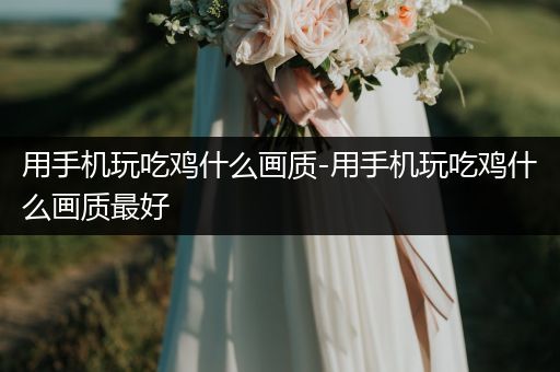 用手机玩吃鸡什么画质-用手机玩吃鸡什么画质最好