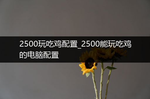 2500玩吃鸡配置_2500能玩吃鸡的电脑配置