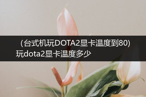 （台式机玩DOTA2显卡温度到80)玩dota2显卡温度多少