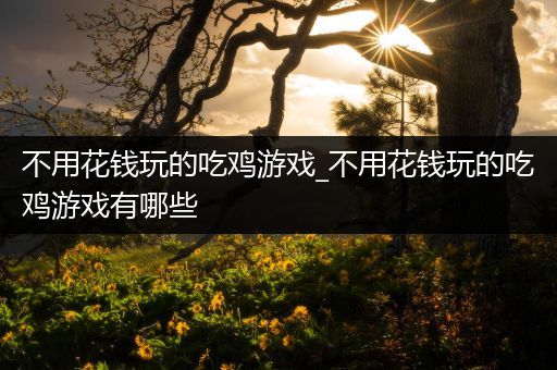 不用花钱玩的吃鸡游戏_不用花钱玩的吃鸡游戏有哪些