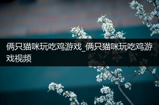 俩只猫咪玩吃鸡游戏_俩只猫咪玩吃鸡游戏视频