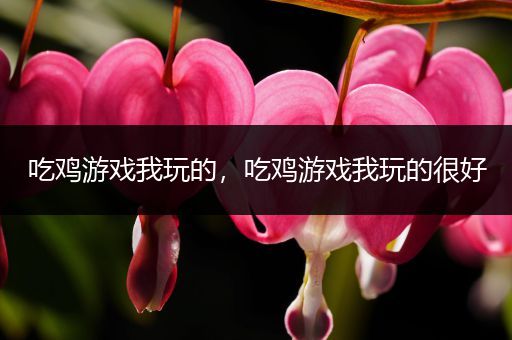 吃鸡游戏我玩的，吃鸡游戏我玩的很好