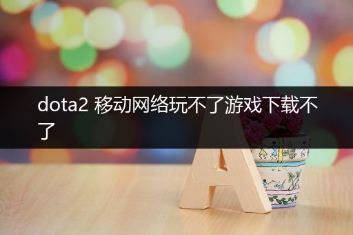 dota2 移动网络玩不了游戏下载不了