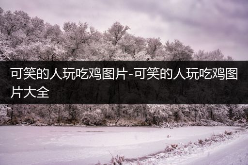 可笑的人玩吃鸡图片-可笑的人玩吃鸡图片大全