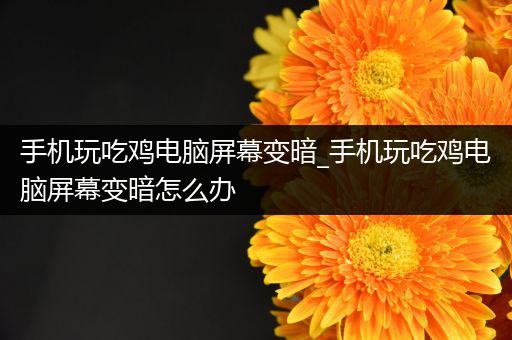 手机玩吃鸡电脑屏幕变暗_手机玩吃鸡电脑屏幕变暗怎么办