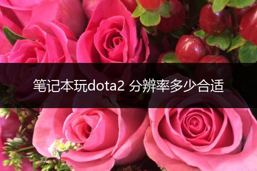 笔记本玩dota2 分辨率多少合适