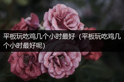 平板玩吃鸡几个小时最好（平板玩吃鸡几个小时最好呢）