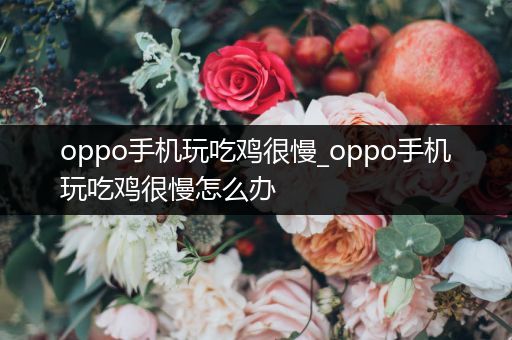 oppo手机玩吃鸡很慢_oppo手机玩吃鸡很慢怎么办