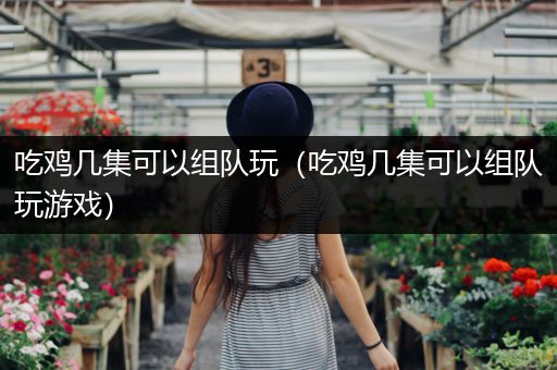 吃鸡几集可以组队玩（吃鸡几集可以组队玩游戏）