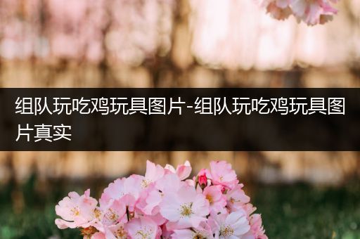 组队玩吃鸡玩具图片-组队玩吃鸡玩具图片真实