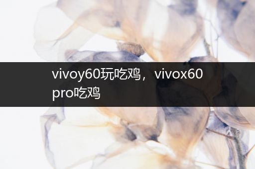 vivoy60玩吃鸡，vivox60pro吃鸡