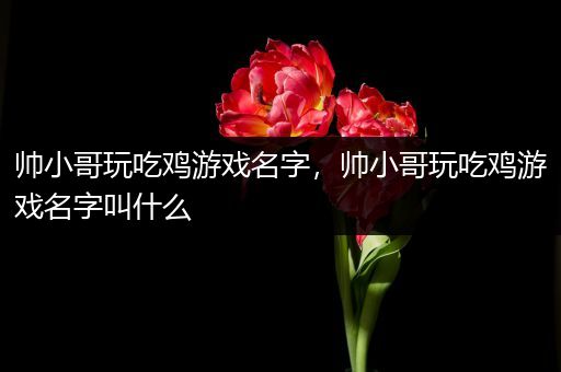 帅小哥玩吃鸡游戏名字，帅小哥玩吃鸡游戏名字叫什么