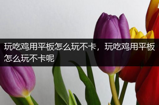 玩吃鸡用平板怎么玩不卡，玩吃鸡用平板怎么玩不卡呢