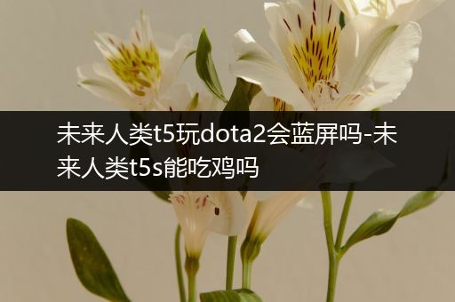 未来人类t5玩dota2会蓝屏吗-未来人类t5s能吃鸡吗