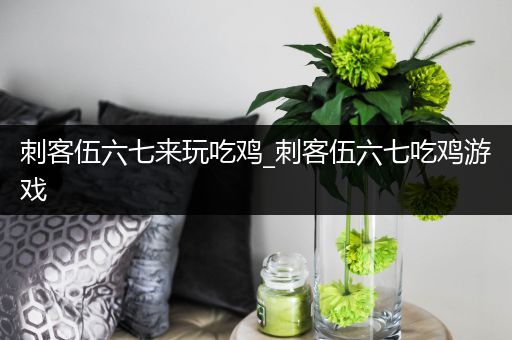 刺客伍六七来玩吃鸡_刺客伍六七吃鸡游戏