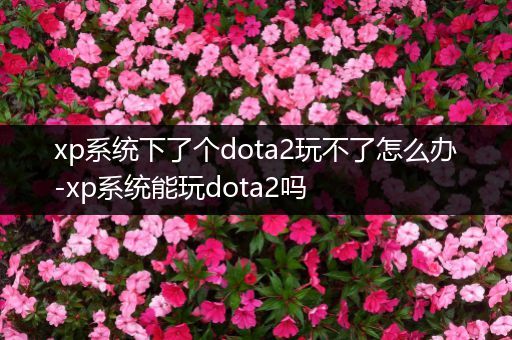 xp系统下了个dota2玩不了怎么办-xp系统能玩dota2吗