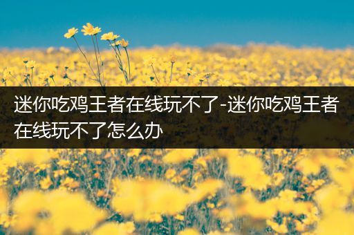 迷你吃鸡王者在线玩不了-迷你吃鸡王者在线玩不了怎么办