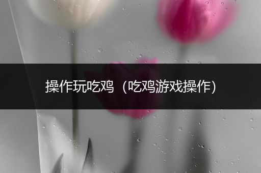 操作玩吃鸡（吃鸡游戏操作）