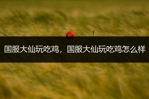 国服大仙玩吃鸡，国服大仙玩吃鸡怎么样