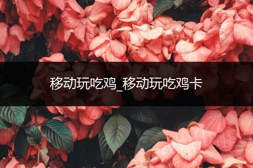 移动玩吃鸡_移动玩吃鸡卡