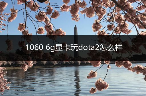 1060 6g显卡玩dota2怎么样