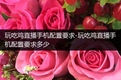 玩吃鸡直播手机配置要求-玩吃鸡直播手机配置要求多少
